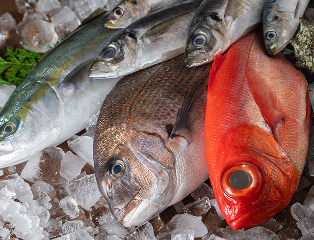 BBQ ダイナー 炭焼き小屋