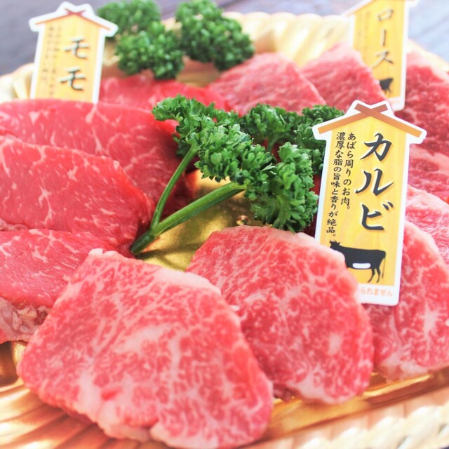 土佐さめうらBBQテラス