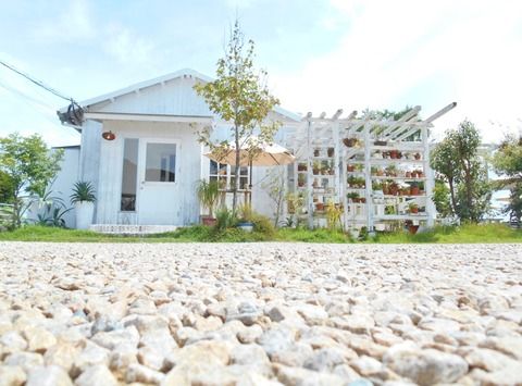 BeachHouseStyleCafe sunflower