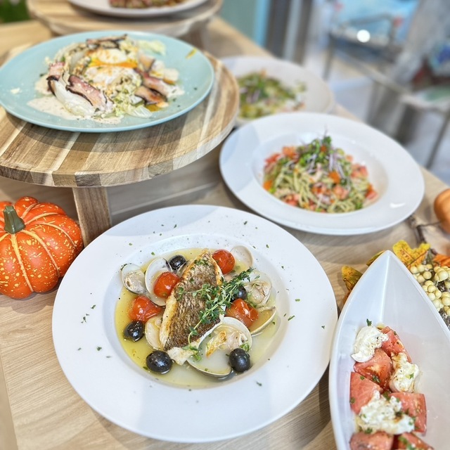 ドッグバルBIBICHE