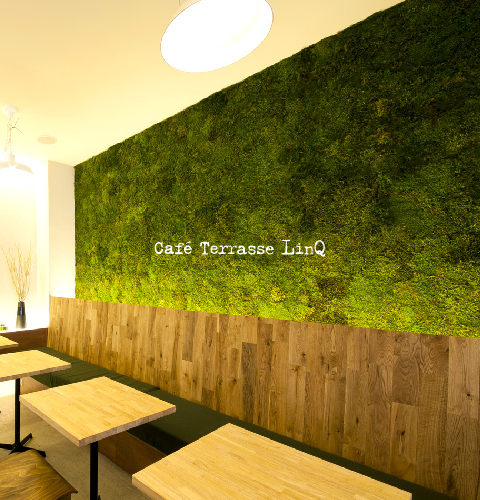 Cafe Terrasse LinQ