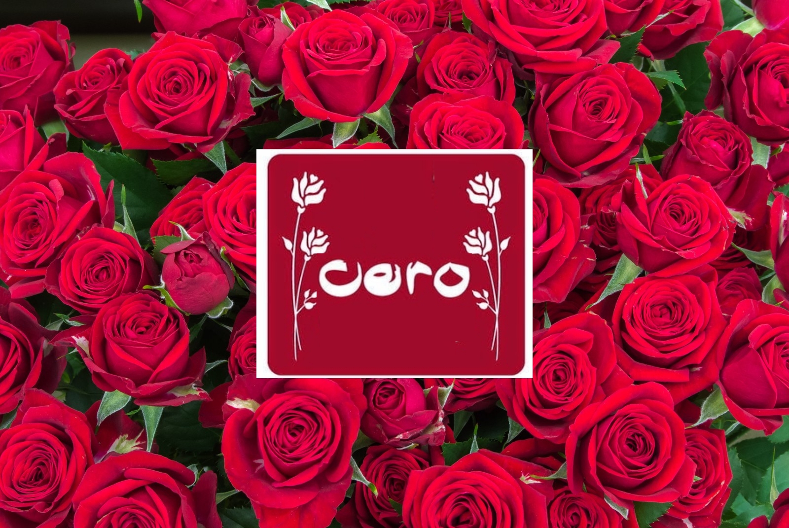 Cero