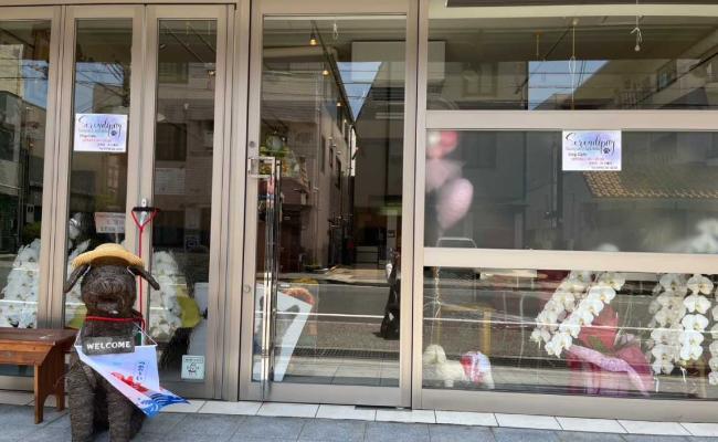 Dog Cafe Serendipity