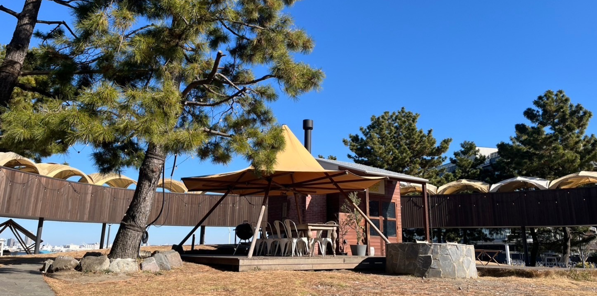 DREAM DOOR YOKOHAMA HAMMERHEAD