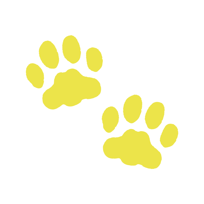 開運カフェFortuneCat