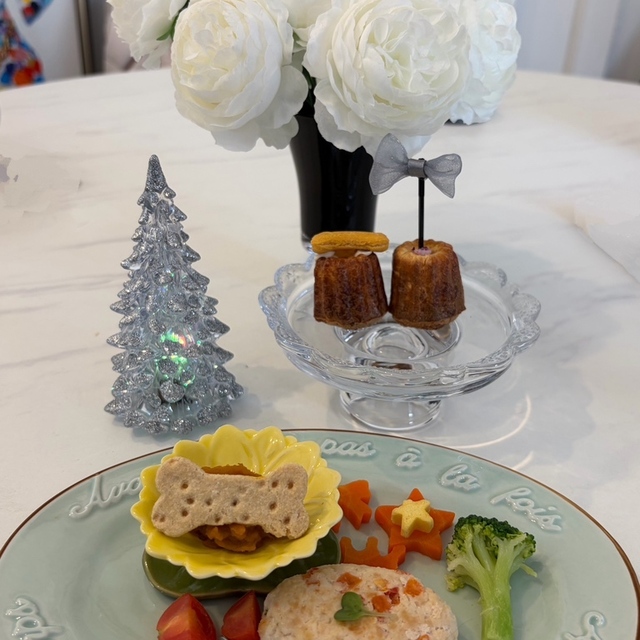 FURBABYS DOGRUN&CAFE