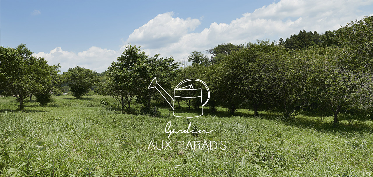 garden AUX PARADIS