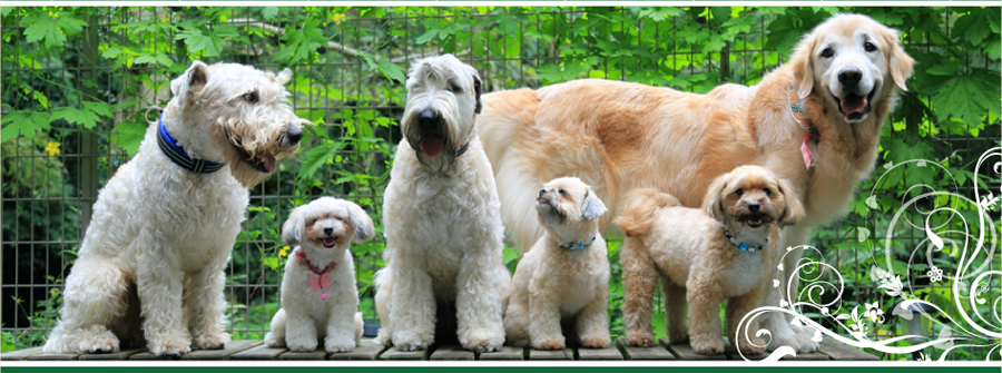 I LOVE ウィートン