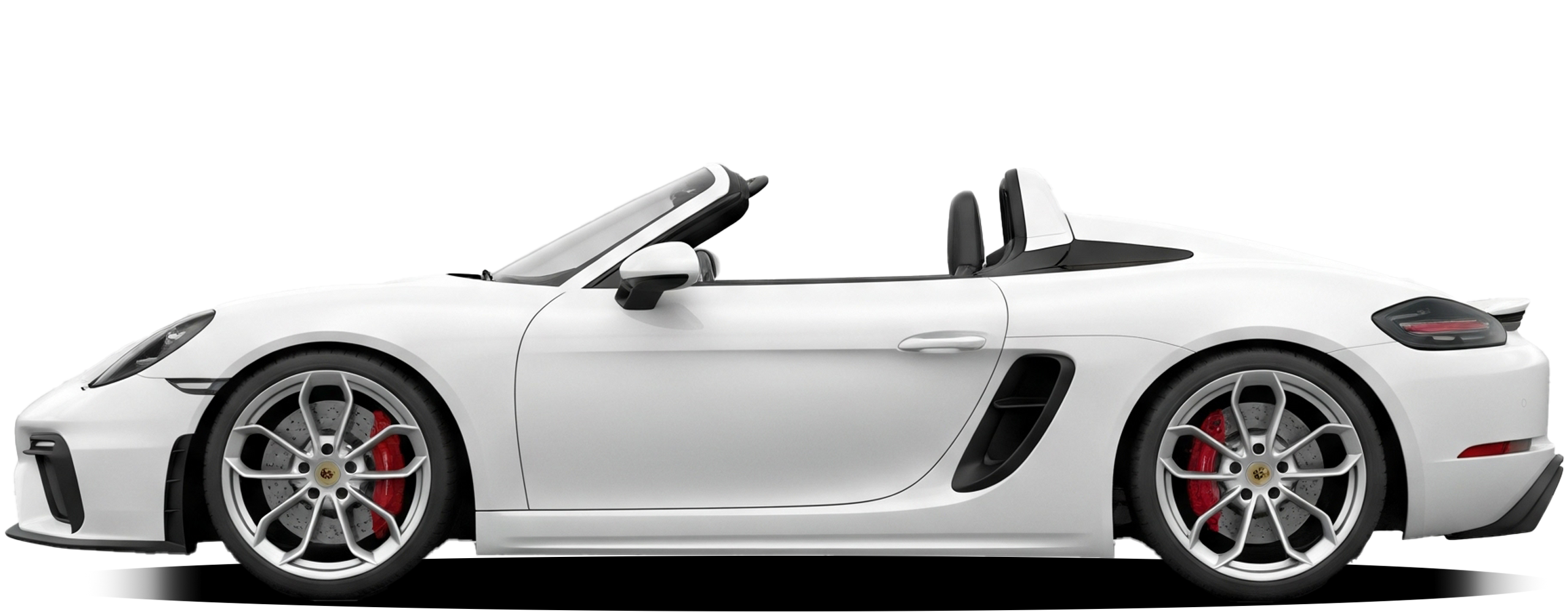 ITALIAN DINING PORCINI