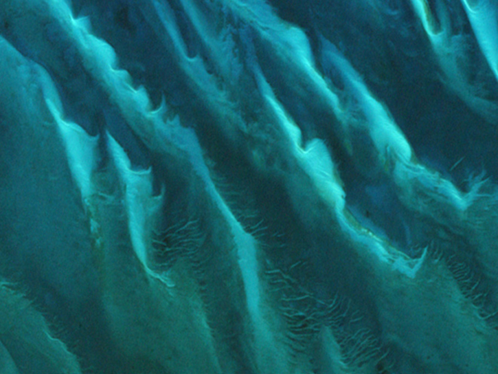 Ocean good Table 向ヶ丘遊園