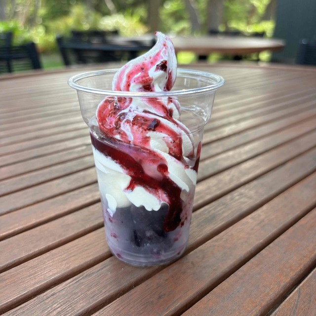 Outdoor Terrace LOTUS