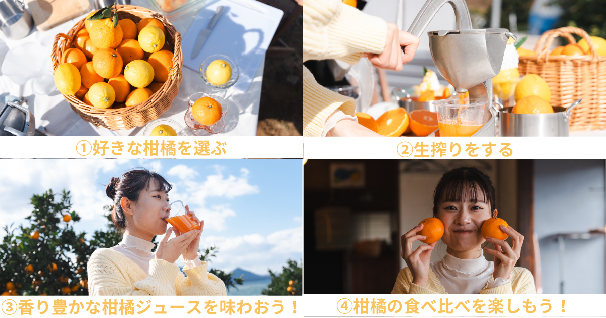 尾道柑橘工房SETODA