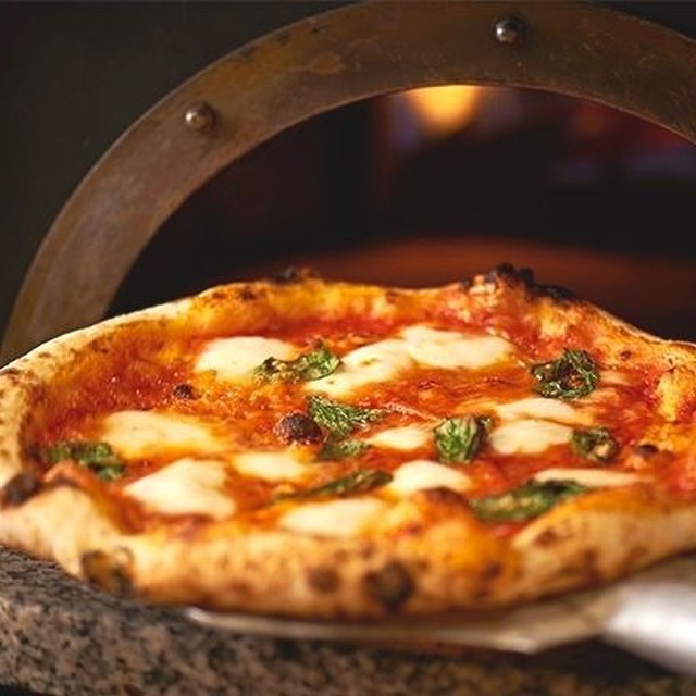 ハチョボリーノ