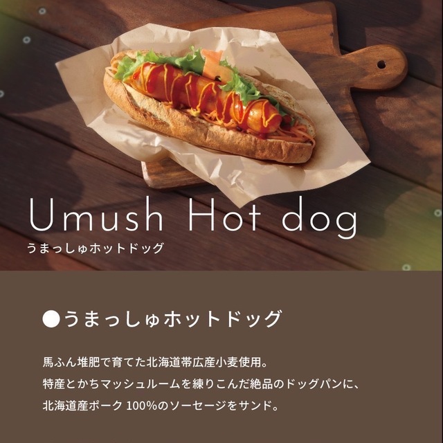 メタセコイアと馬の森