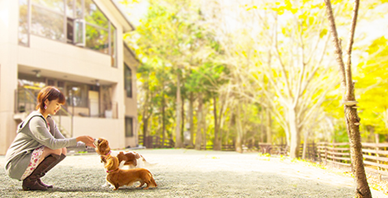 ドッグパレスリゾート阿蘇乙姫