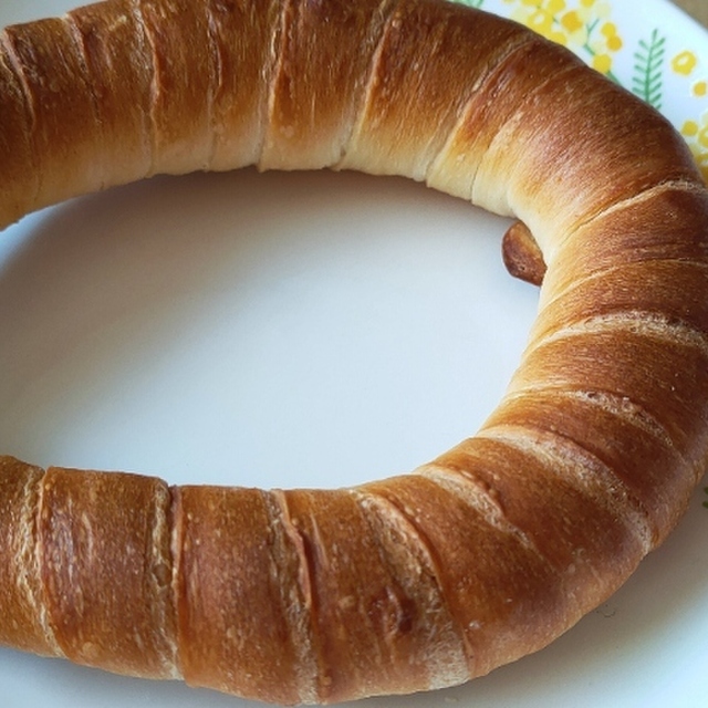 キャニス・ミノール