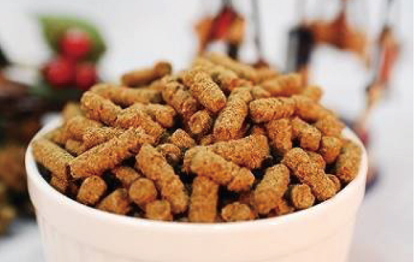 リトルガーデン