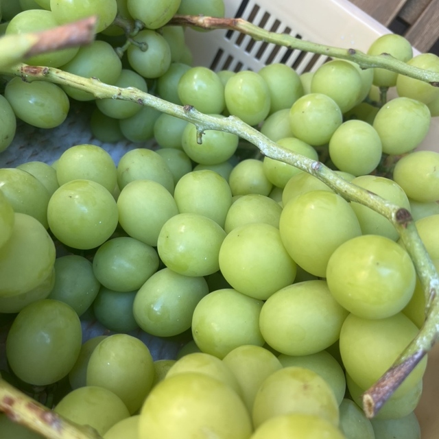 沢登農園カフェ&バル