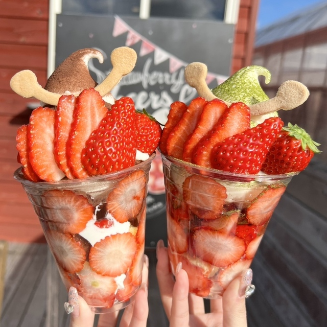 すまいるベリーズ長久手