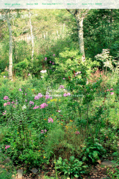 ミントガーデン