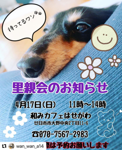 和みカフェはせがわ