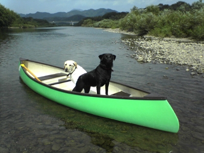 お好み焼たむら