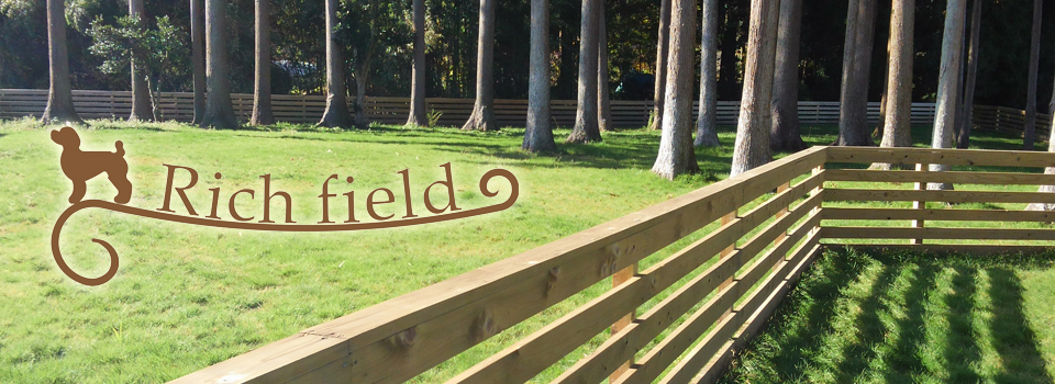 リッチフィールド
