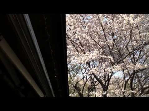 カフェレストラン　森の家