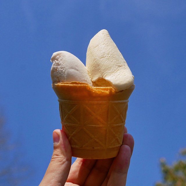 服部牧場アイスクリーム工房「カサリンガ」