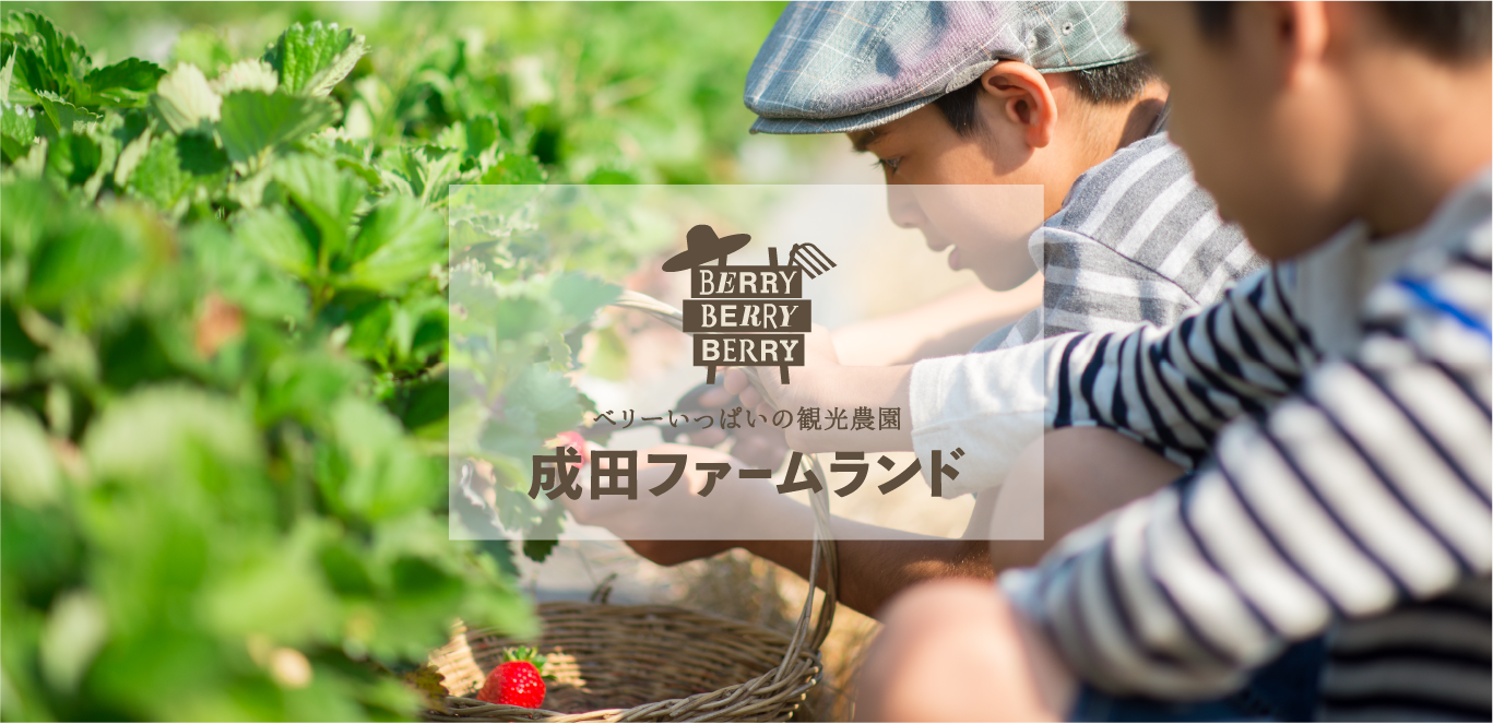 ファームキッチン