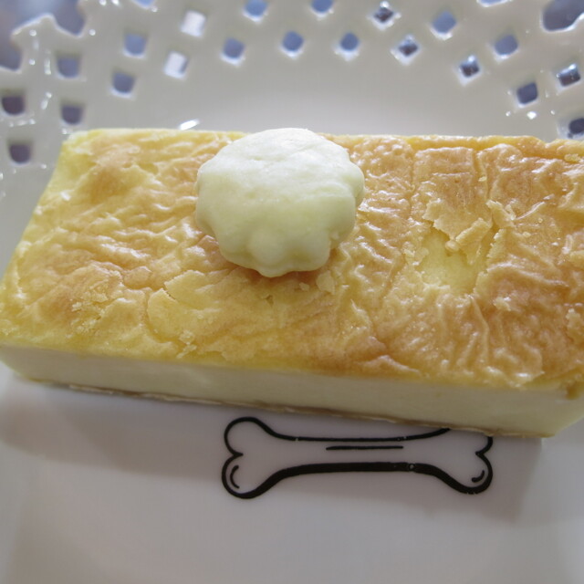 ドッグバケーション