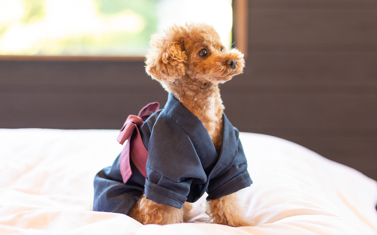 えふでの宿　小松家八の坊