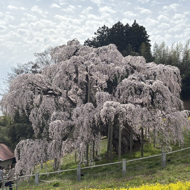 里の茶屋