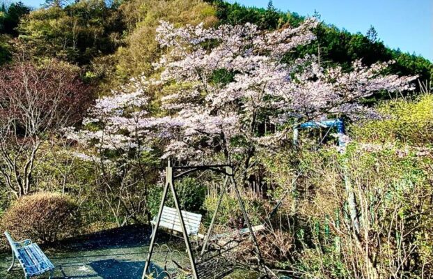 ほうれん坊の森