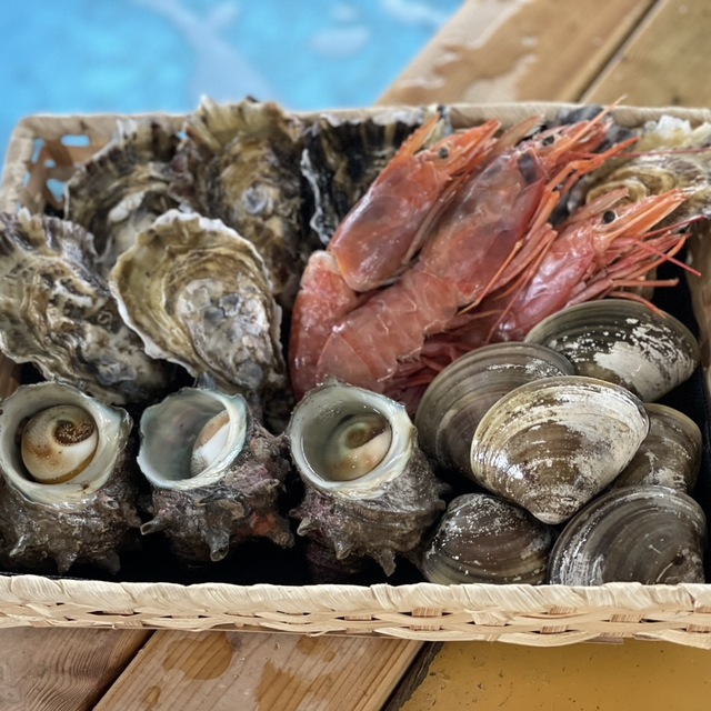 糸島牡蠣小屋ひろちゃんカキ