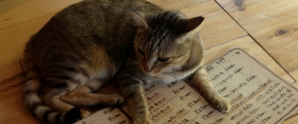 山の家はせがわ