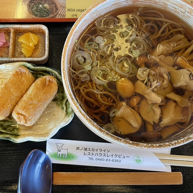 芦ノ湖スカイラインレストハウスレイクビュー