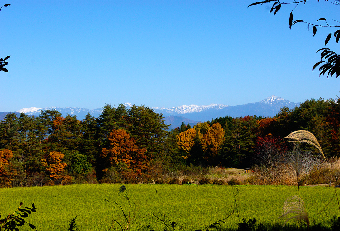 ペンションぐっどらっく高山