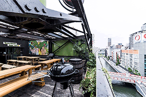 ダブリンガーデン