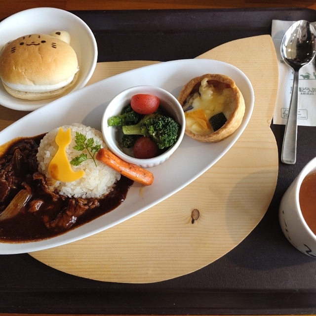 ヤマネコテラス