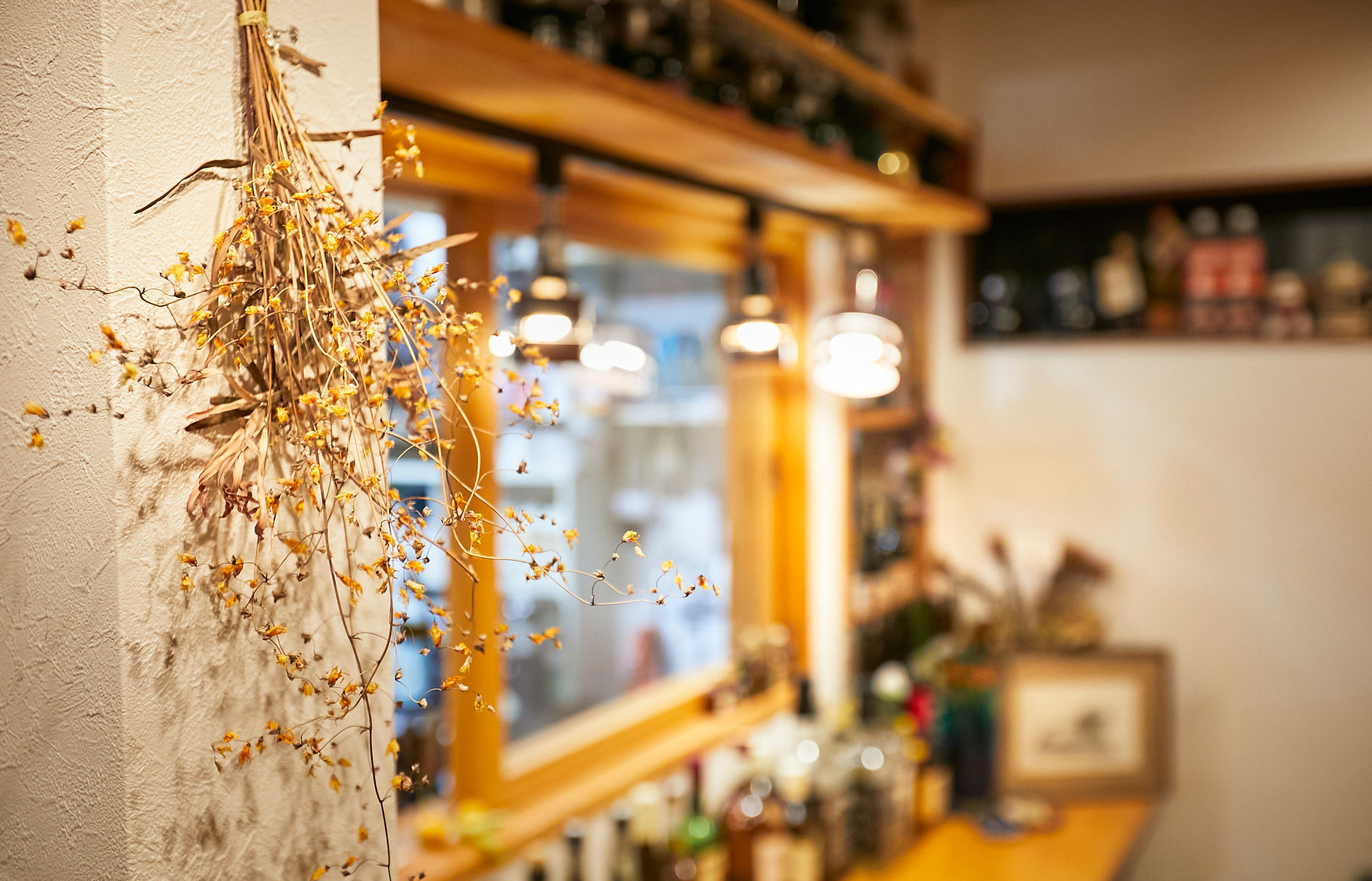 テラスティピィ