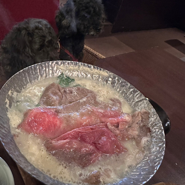 高山わんわんパラダイスホテル