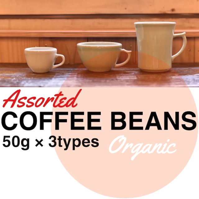 マグナムコーヒー