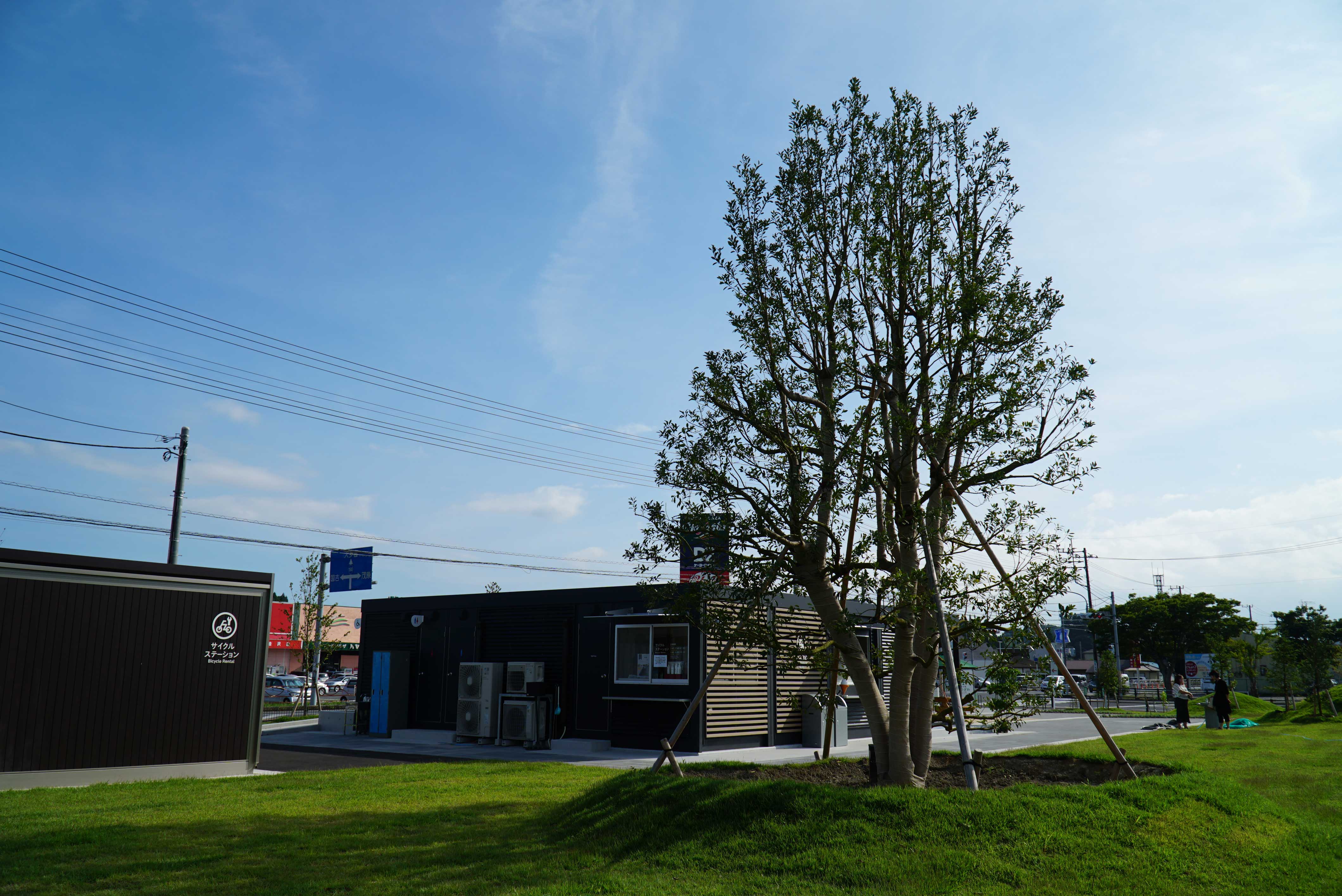 オリーブの森カフェ