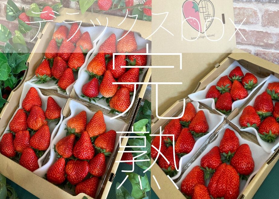 いちごらんど中西