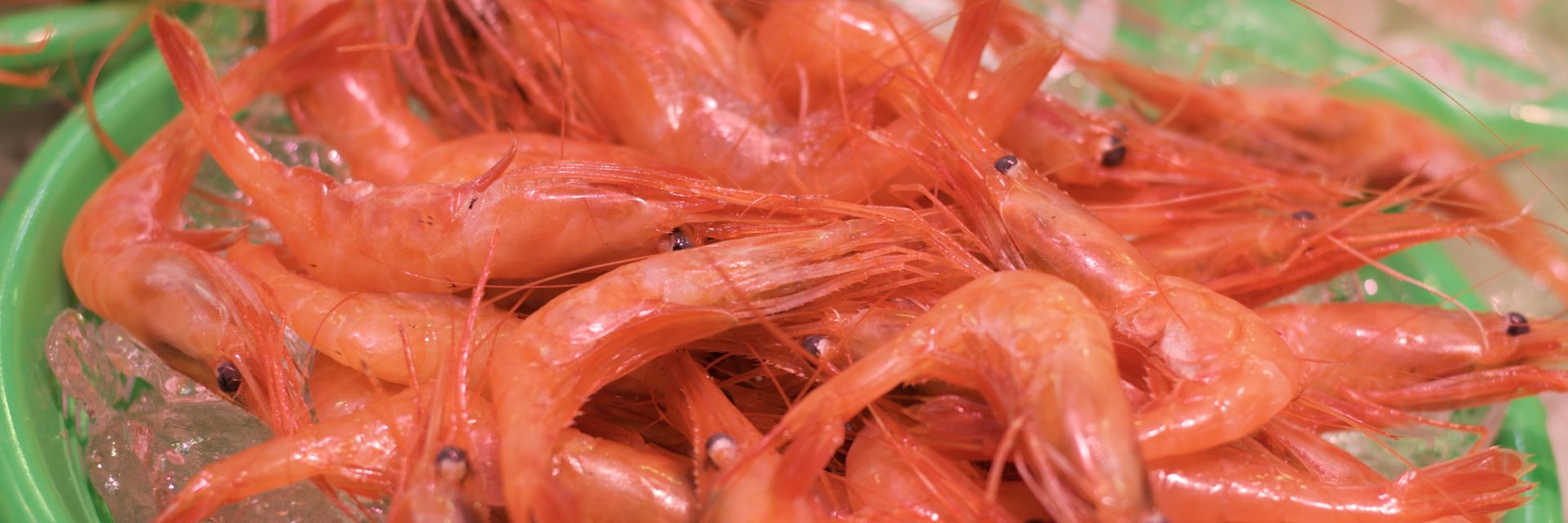 シーサイド磯貝