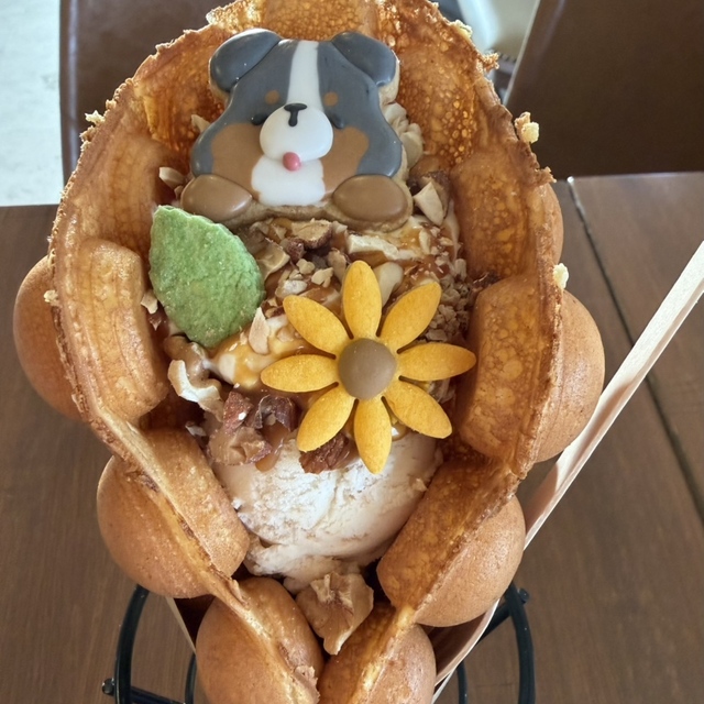 リトリートハグ銭函