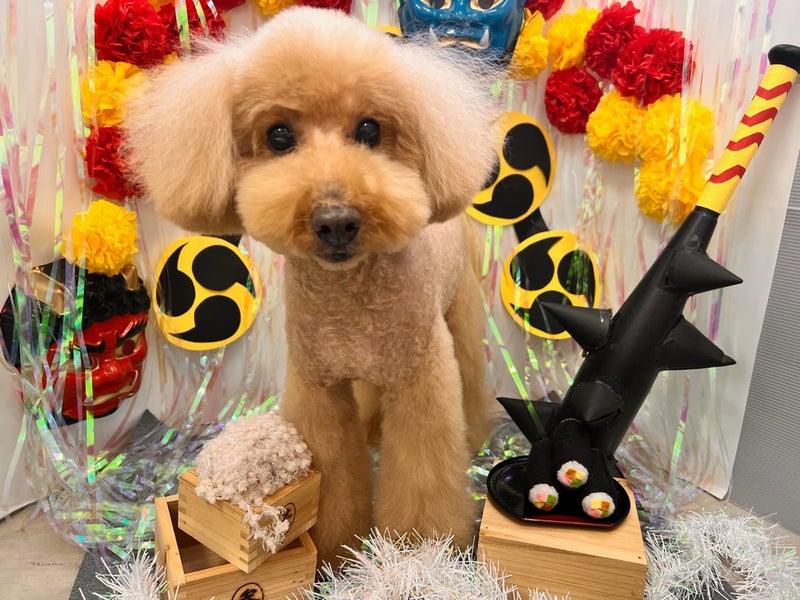 ドッグカフェ　ピエロ