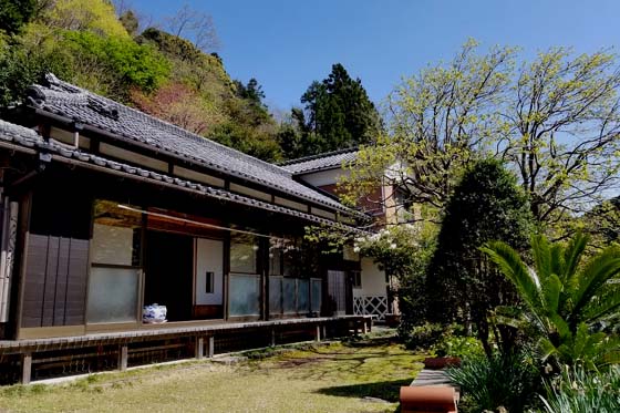 わさび農家の縁側カフェ