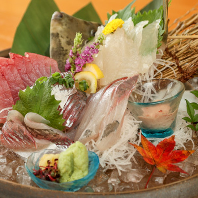 江ノ島おさかなセンター